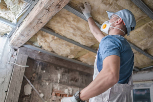 Best Specialized Insulation Services in Norwalk, IA